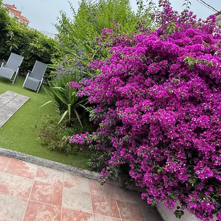 Casa De Joaquina *